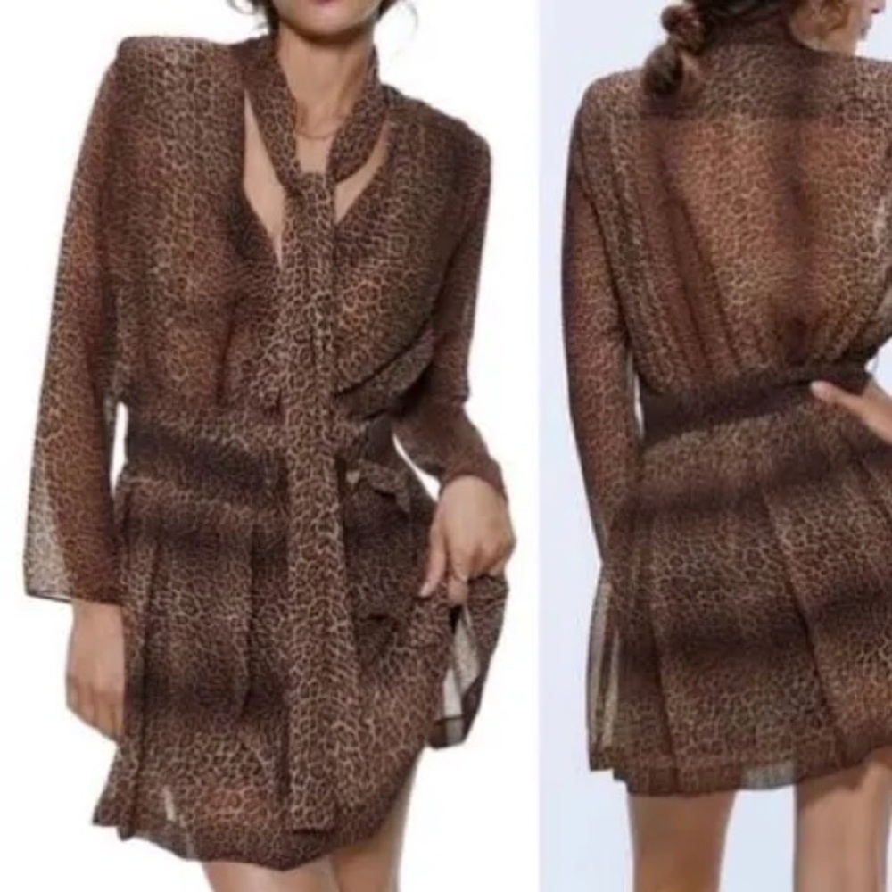 Sara Leopard Print Sheer Dress